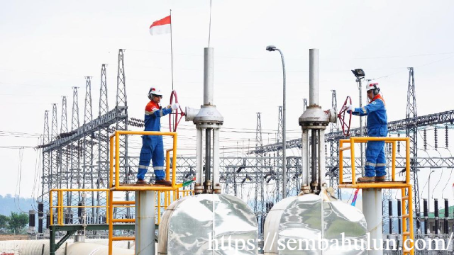Pertamina dan IKN: Sinergi Energi Hijau serta Pendidikan Berkelanjutan untuk Masa Depan Nusantara